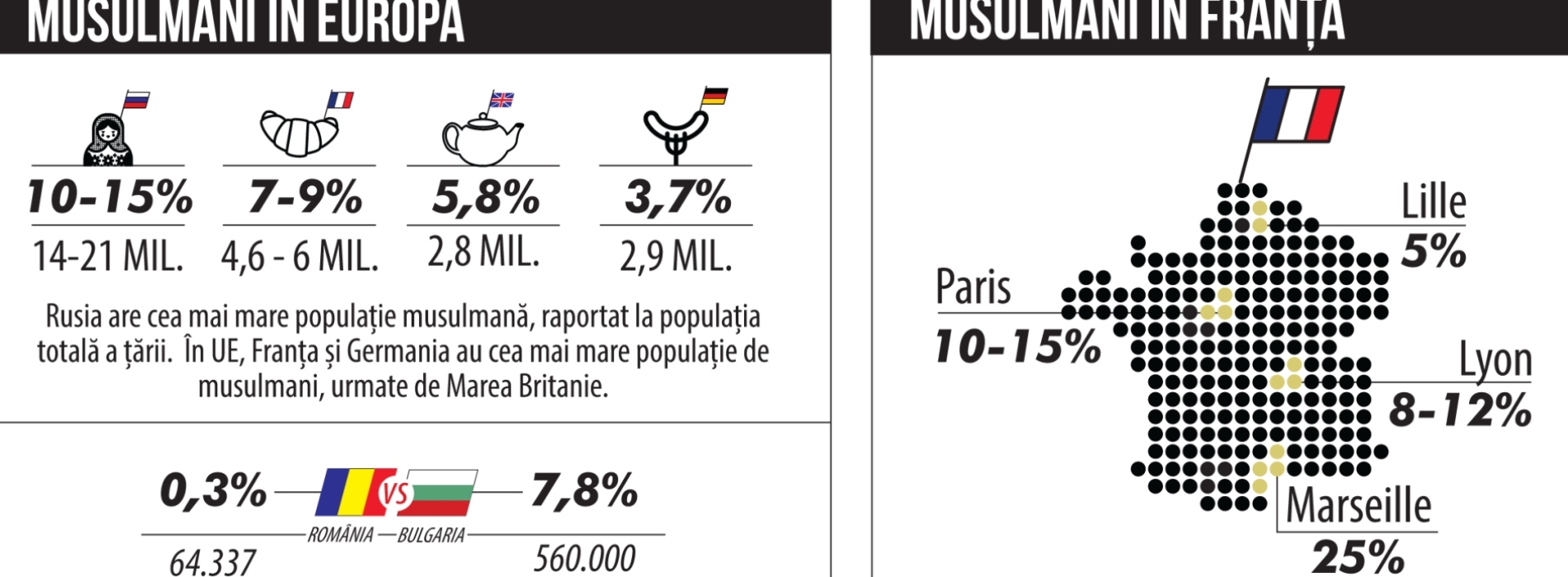 Infografic musulmani