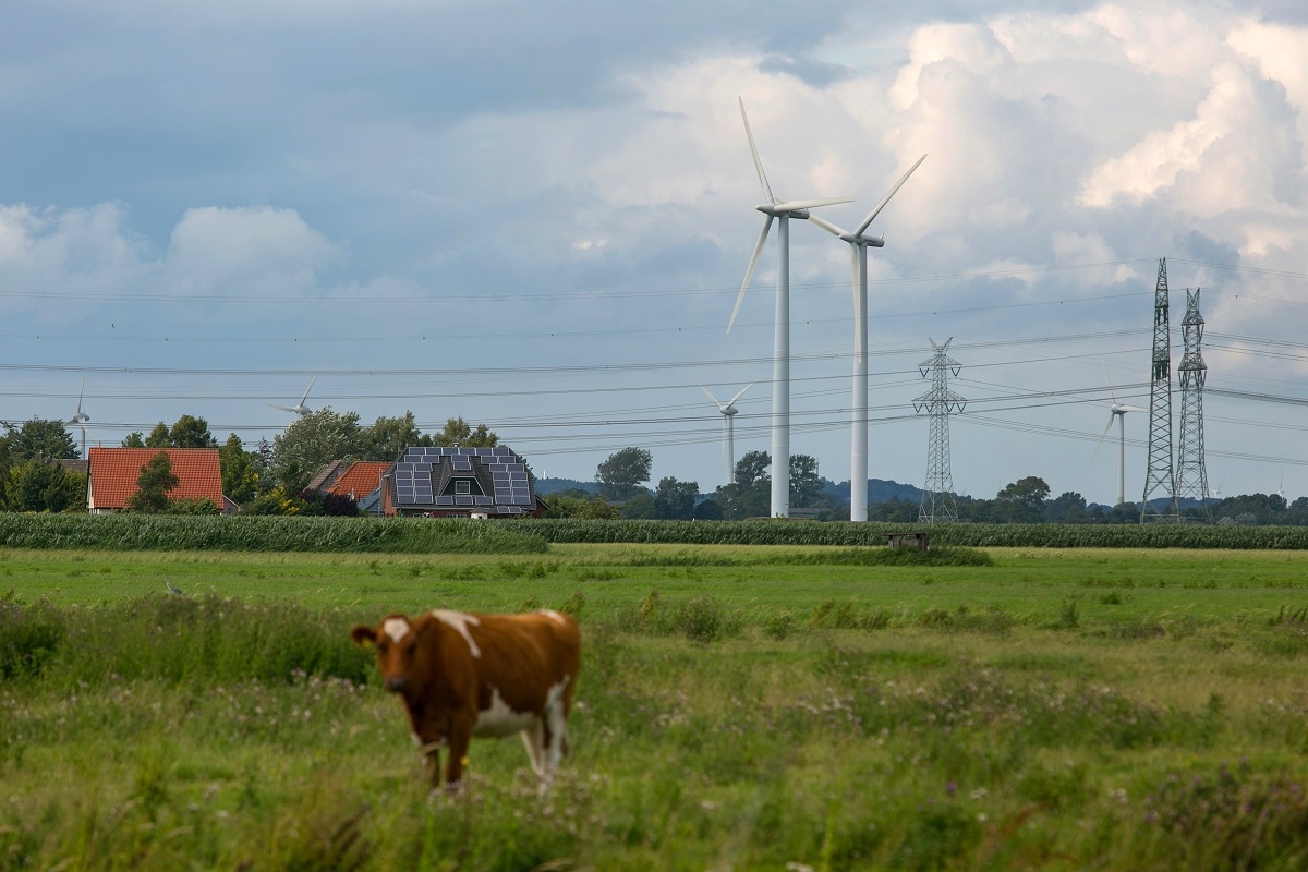 Mori de vânt și panouri solare: alternativă la energia „clasică”