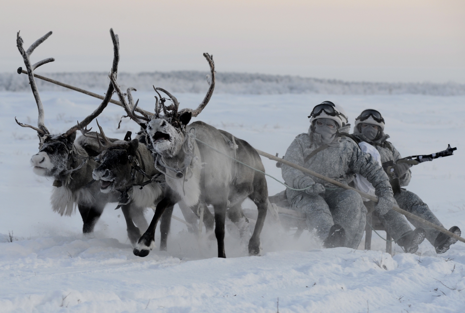Exercițiile arctice ale armatei ruse