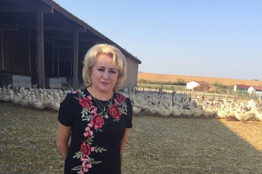 Viorica Vasilica Dăncilă cu gâște