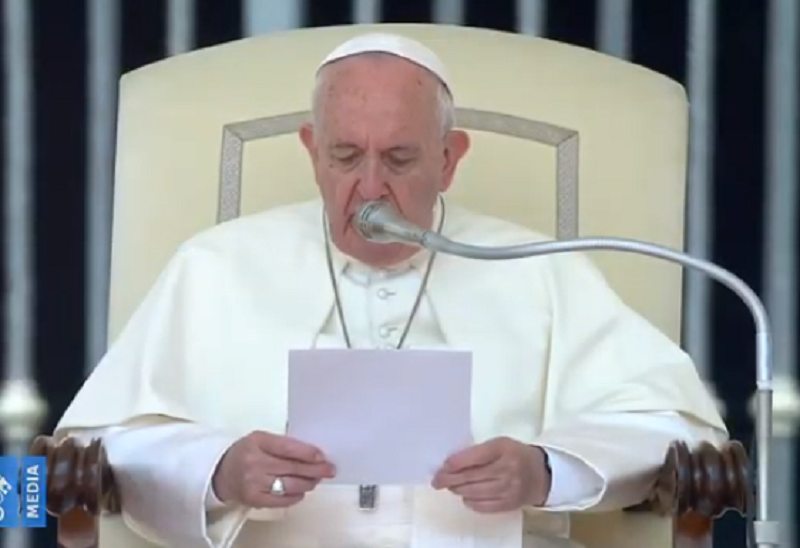 Papa la Vatican