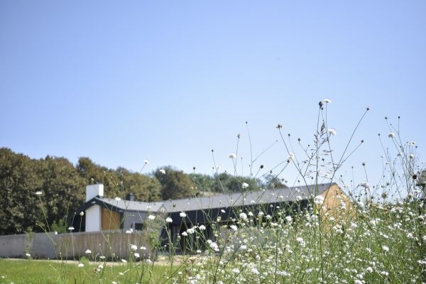 casa de vacanta - Designist