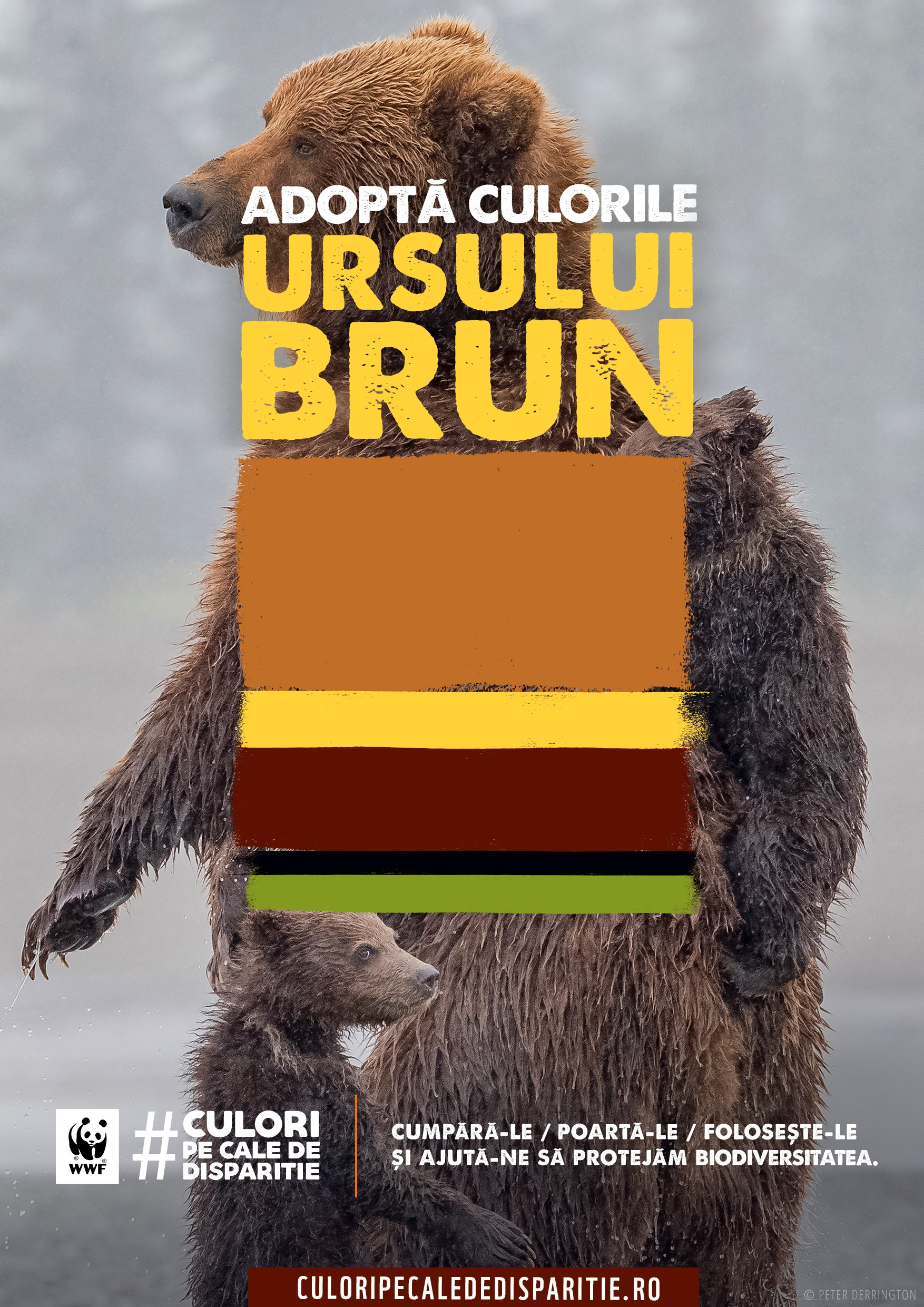 Ursul brun