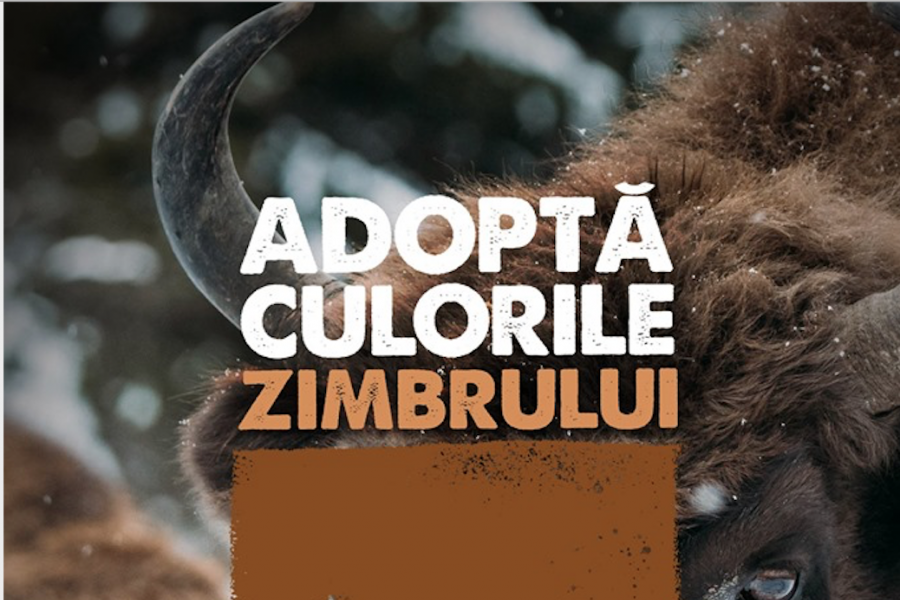 Adoptă culorile zimbrului