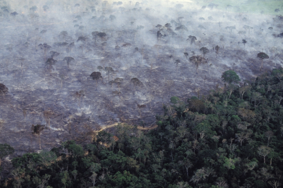 Incendiu în jungla amazoniană