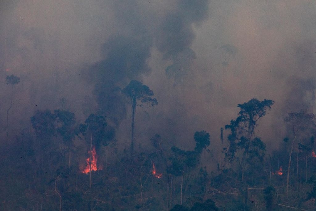 Incendiile din pădurea amazoniană