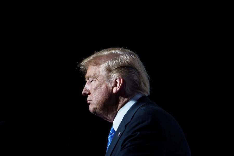 Donald Trump alone