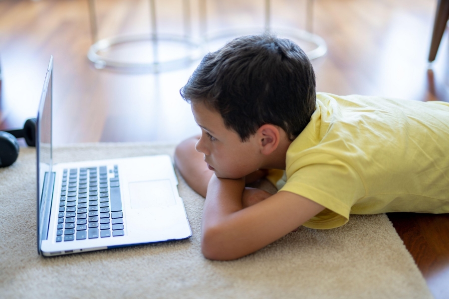 copil - laptop - Foto: Jacob Laugesen / Alamy / Alamy / Profimedia