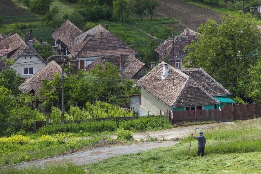 Cosaș la țară
