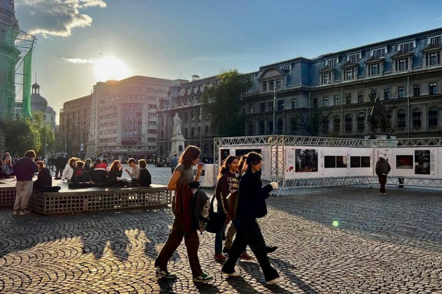 expozitia foto