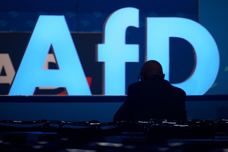 AfD - Foto - Profimedia Images