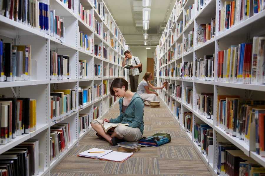 biblioteca - tineri