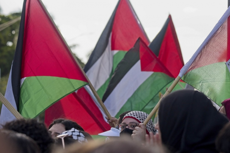 Steaguri palestiniene