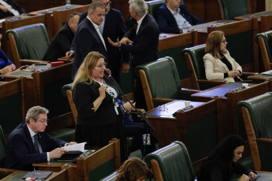 Diana Sosoaca - Parlament