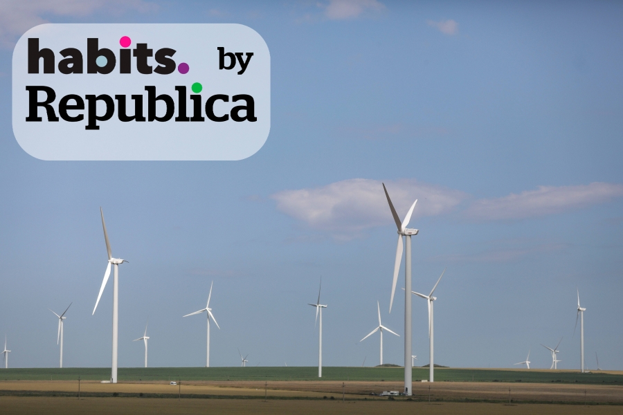 Turbine eoliene pe campurile din judetul Constanta, Foto: Inquam Photos / Octav Ganea