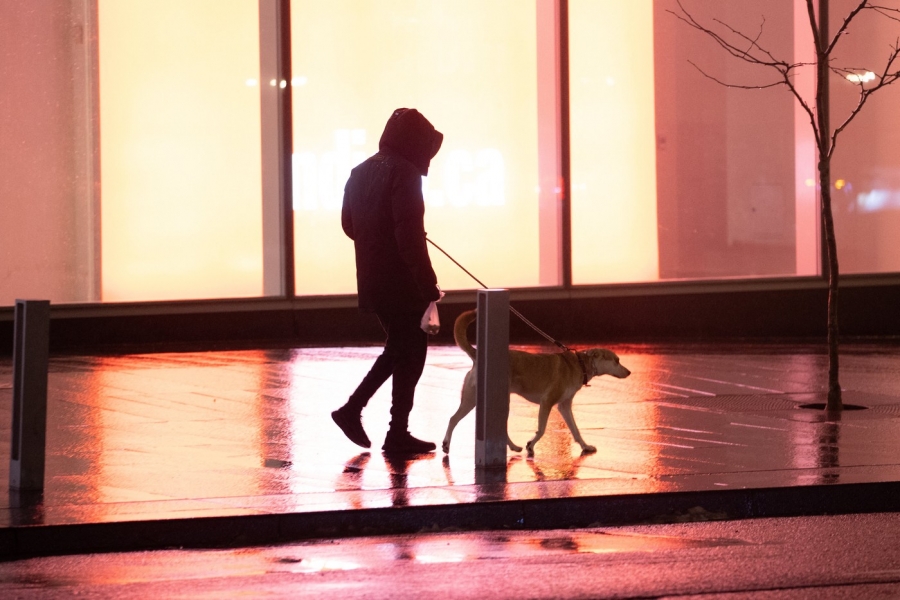 Bărbat plimbându-și câinele în ploaie