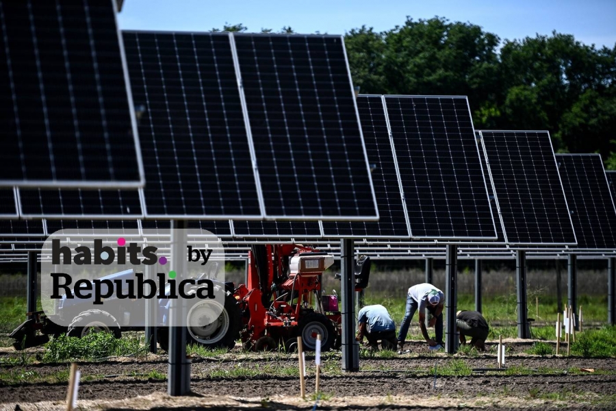 Imagine cu panouri solare folosite în agricultură. Foto: Christophe ARCHAMBAULT / AFP / Profimedia