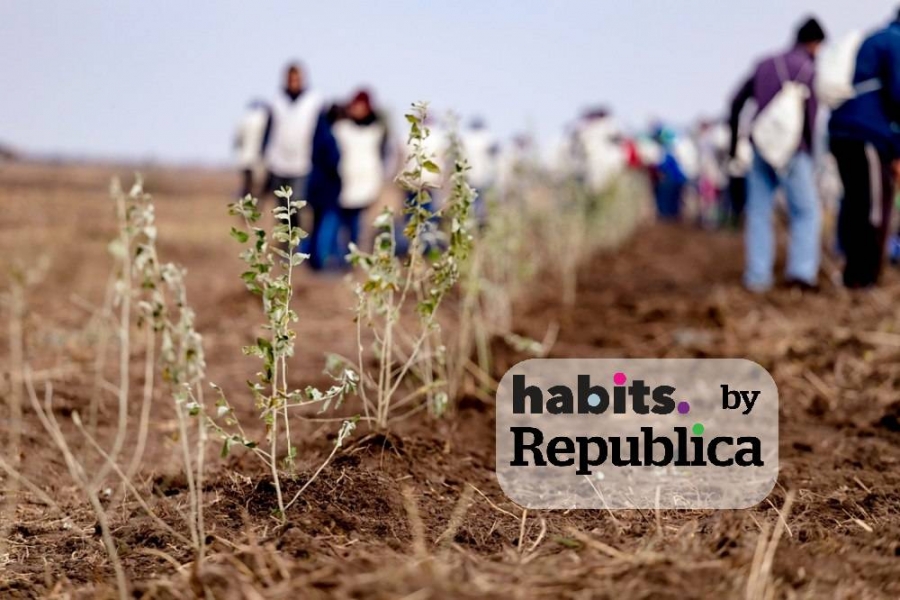 Imagine de la un eveniment cu plantări de arbori în judeţul Călăraşi. Foto: Asociația Viitor Plus 