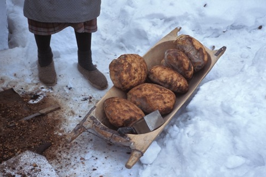 Covată cu pâine