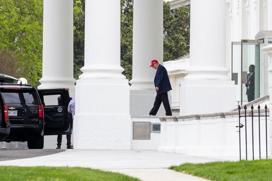 d, trump.