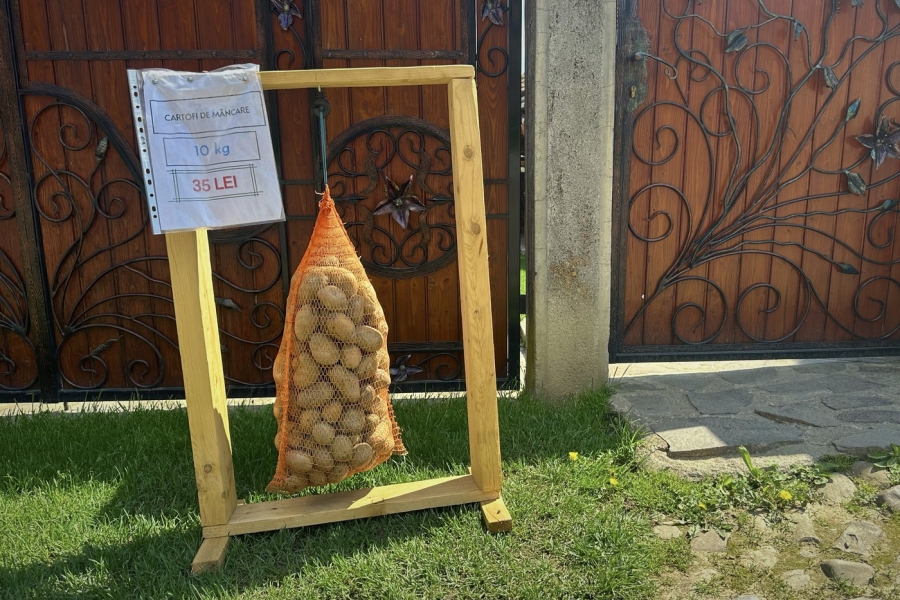 sac cu cartofi - profimedia