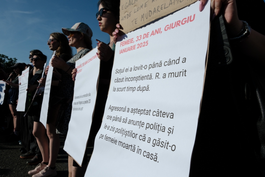 Protest violenta domestica