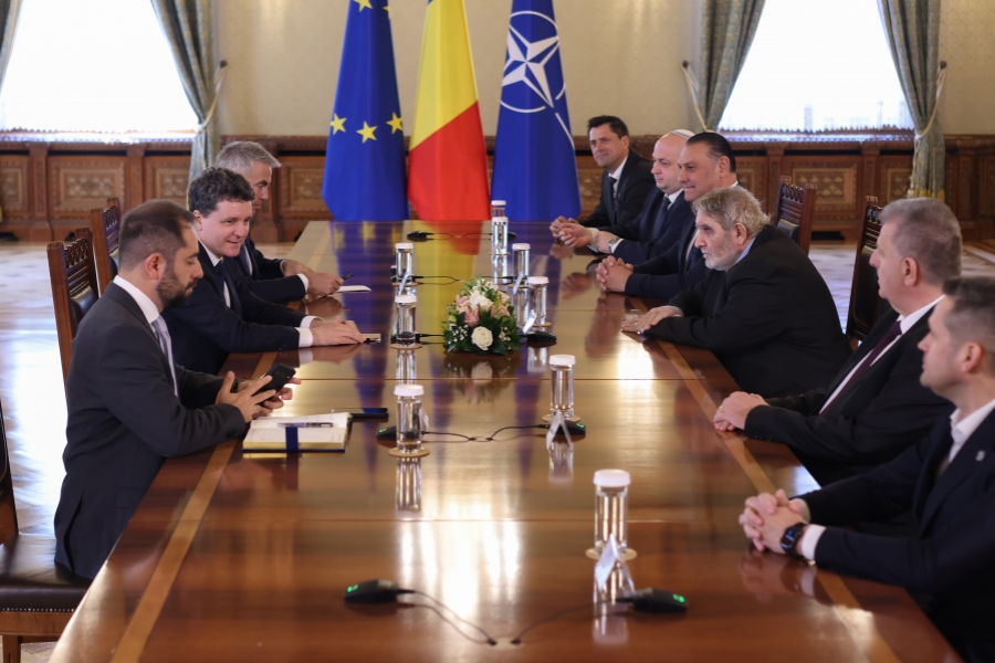 consultari la cotroceni