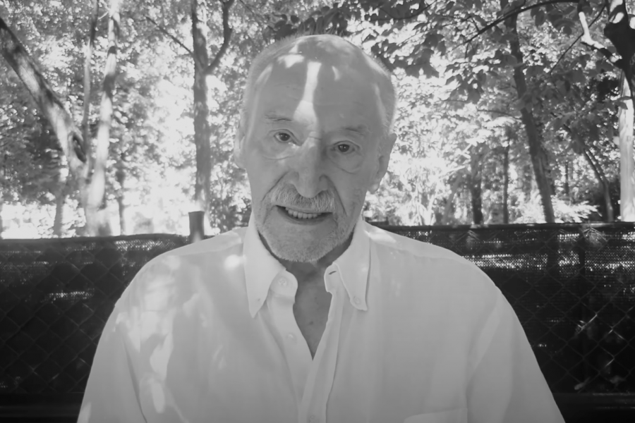 Victor Rebengiuc, Când rinocerii