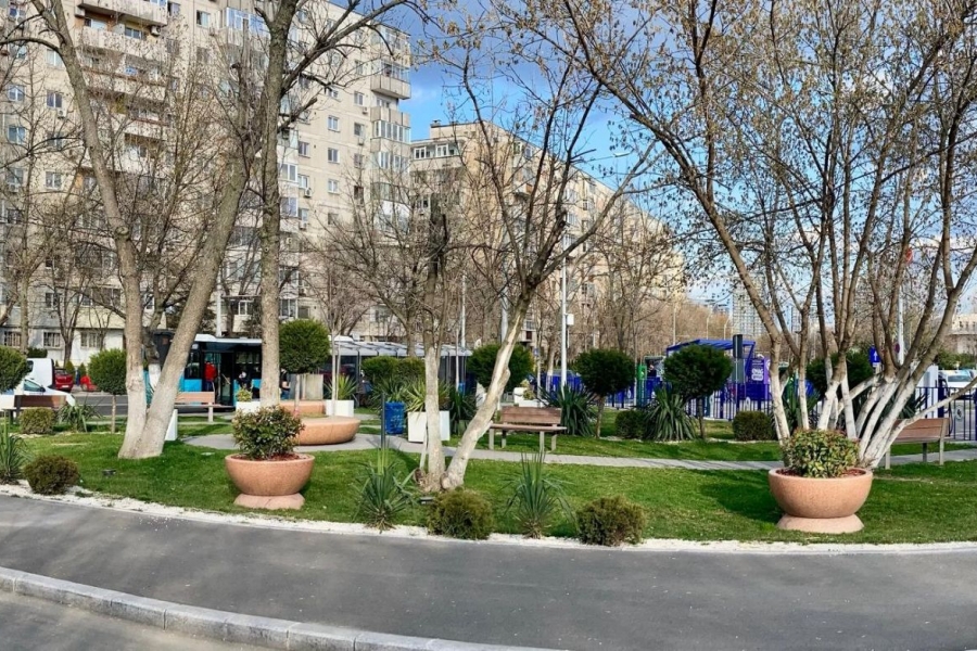 decalogul primarului