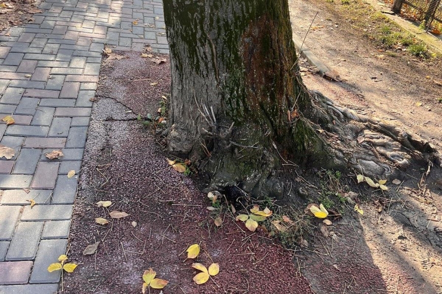 spațiilor verzi