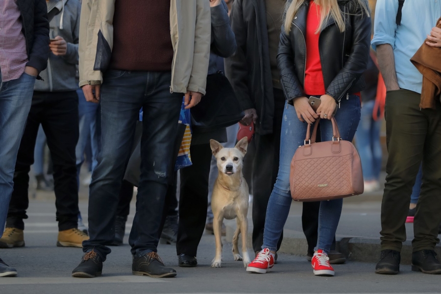 oameni pe strada - Bucuresti