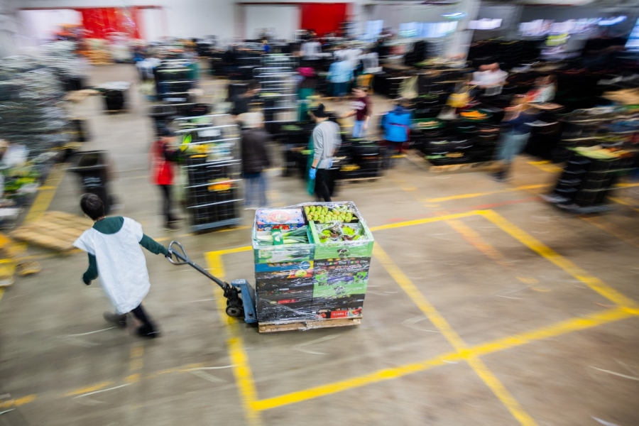 Fruit Logistica - Profimedia