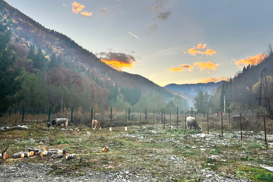 Valea Lotrului / sursa foto: arhiva personala