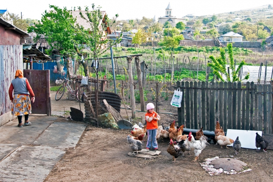 Apuripu-ripu / sursa foto: Profimedia