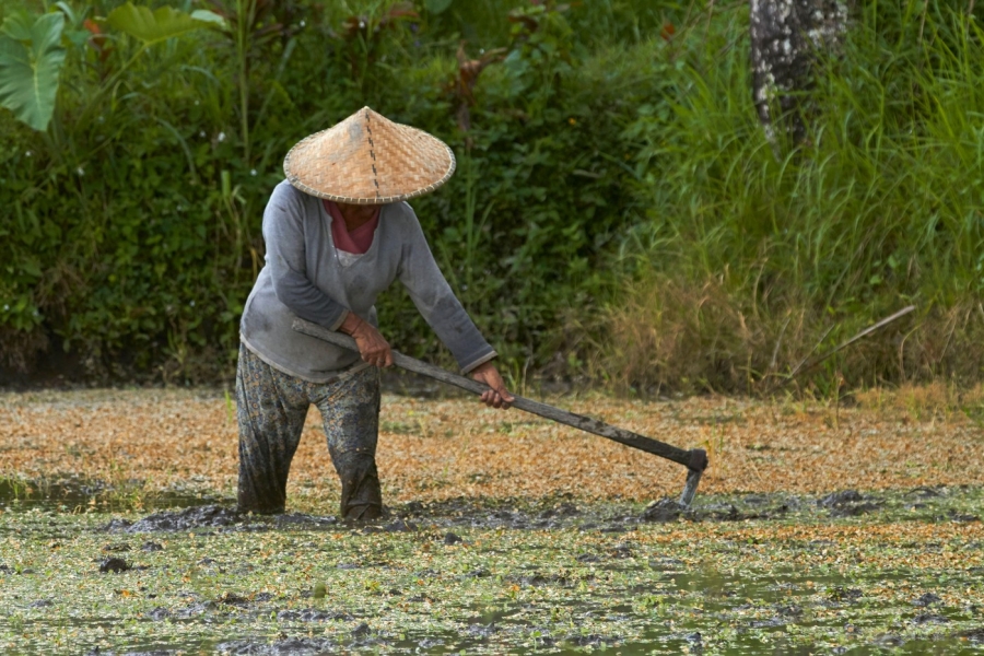 Munca in Bali / sursa foto: Profimedia