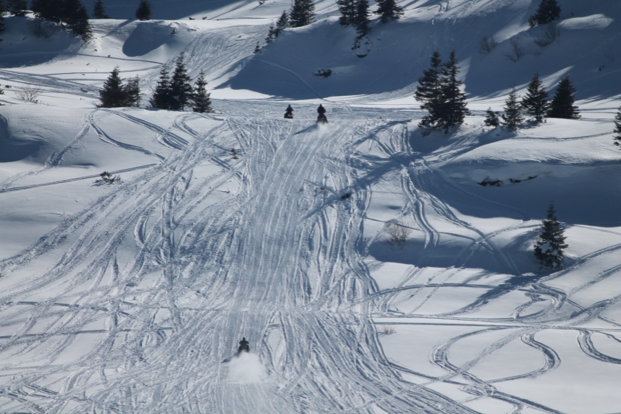 snowmobile - Muntii Rodnei