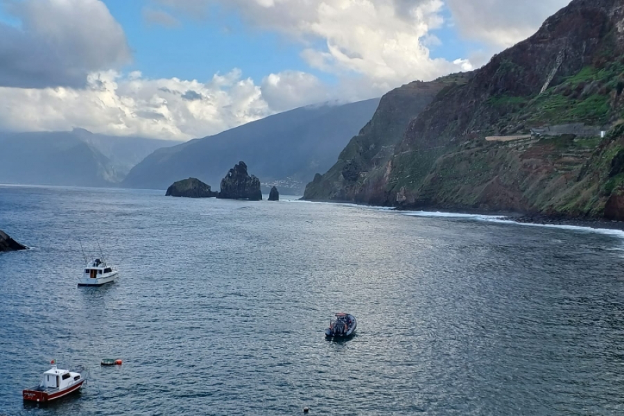 Madeira / sursa foto: arhiva personala