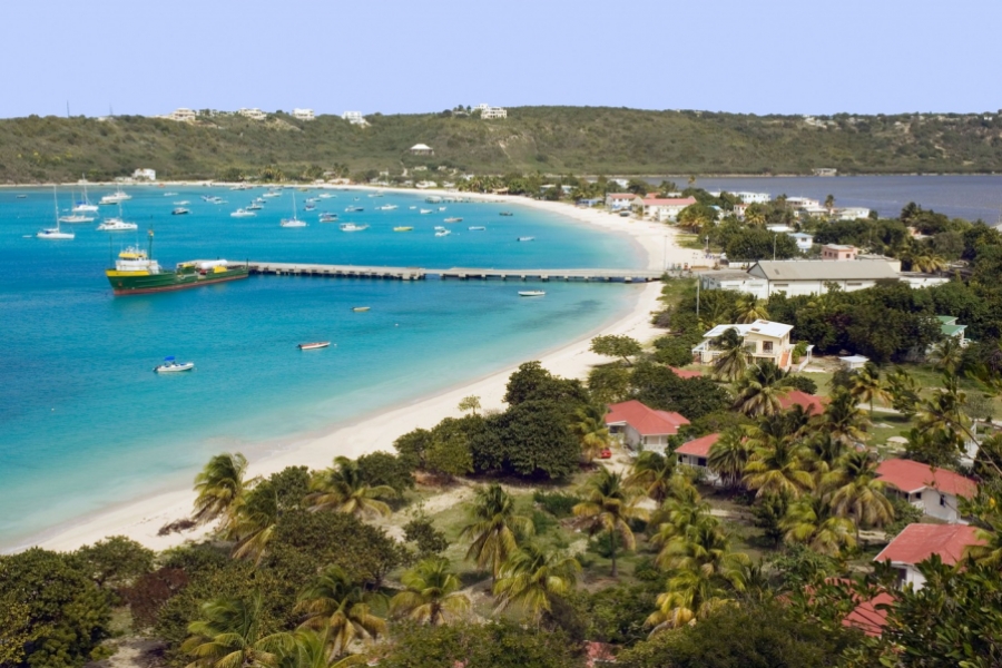Anguilla domeniu AI / sursa foto: Profimedia