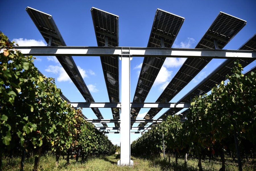 panouri solare pe plantatie vita de vie in Franta