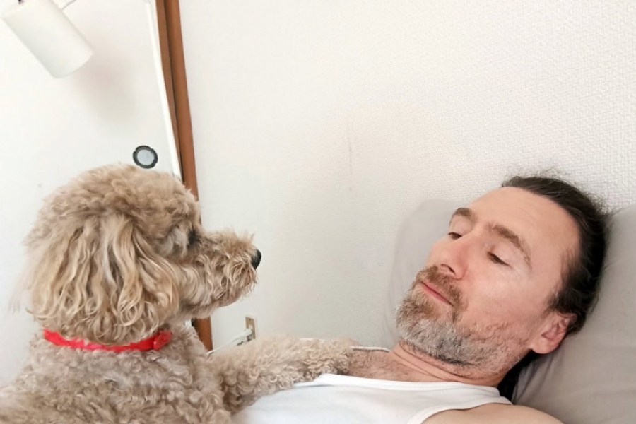 Autorul si cainele sau